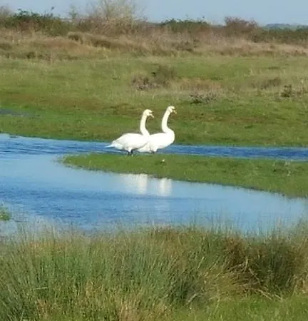 Hôtel Inn Design - Restaurant L'Escale 2* Rochefort (Charente-Maritime)