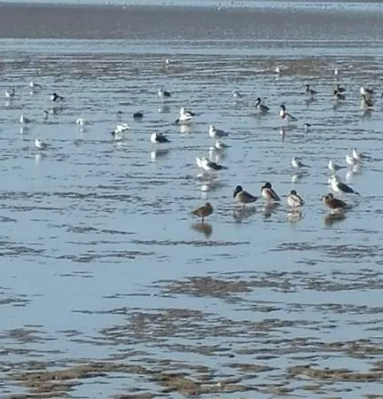 Hôtel Inn Design - Restaurant L'Escale Hotel Rochefort (Charente-Maritime)